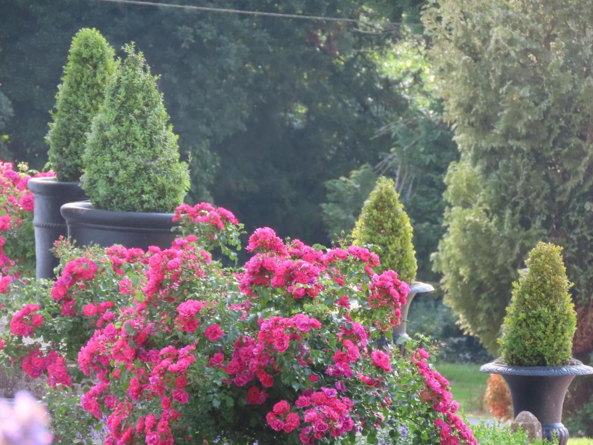 Noan Country House B&B Cashel  Eksteriør bilde
