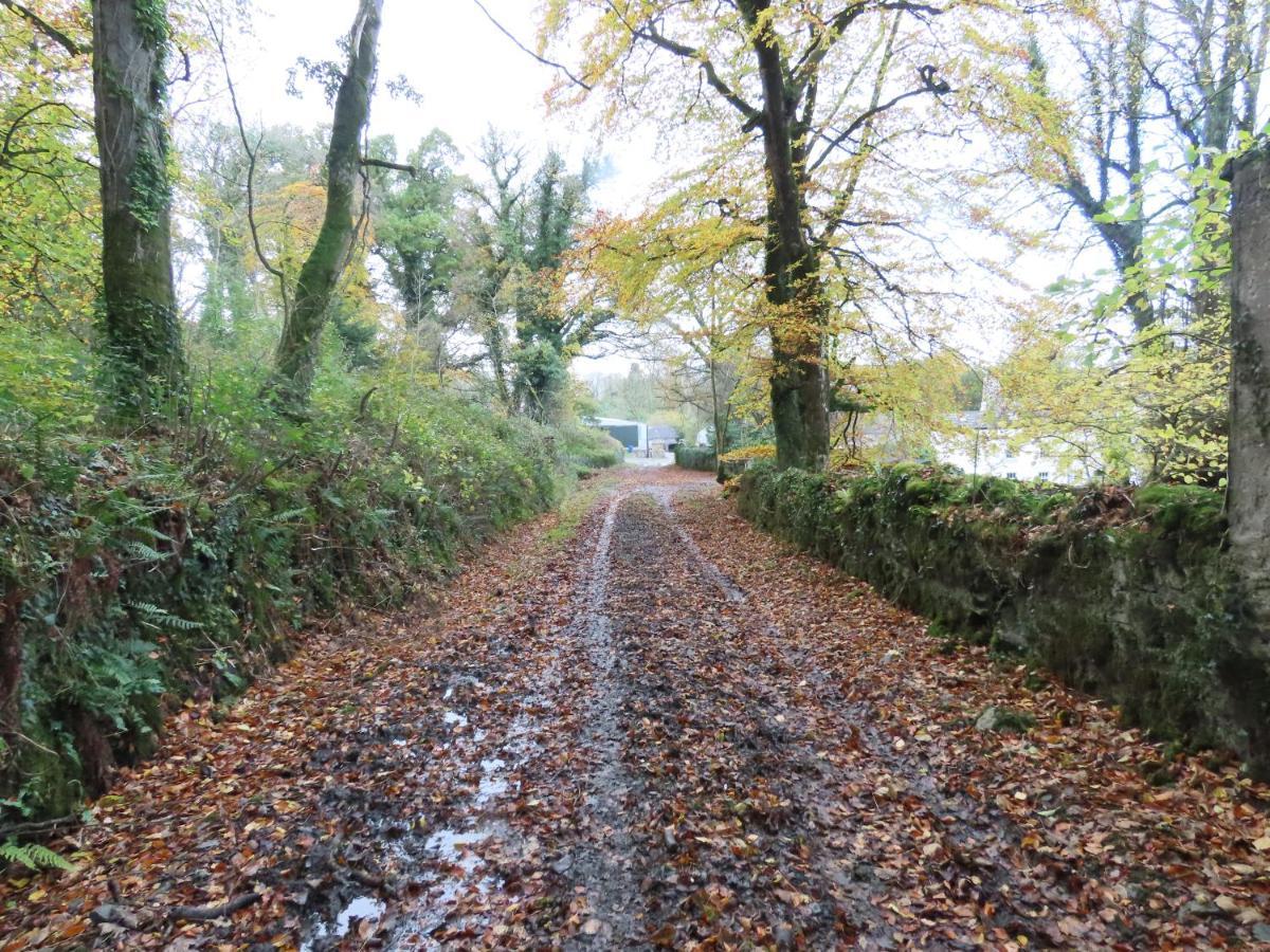 Noan Country House B&B Cashel  Eksteriør bilde