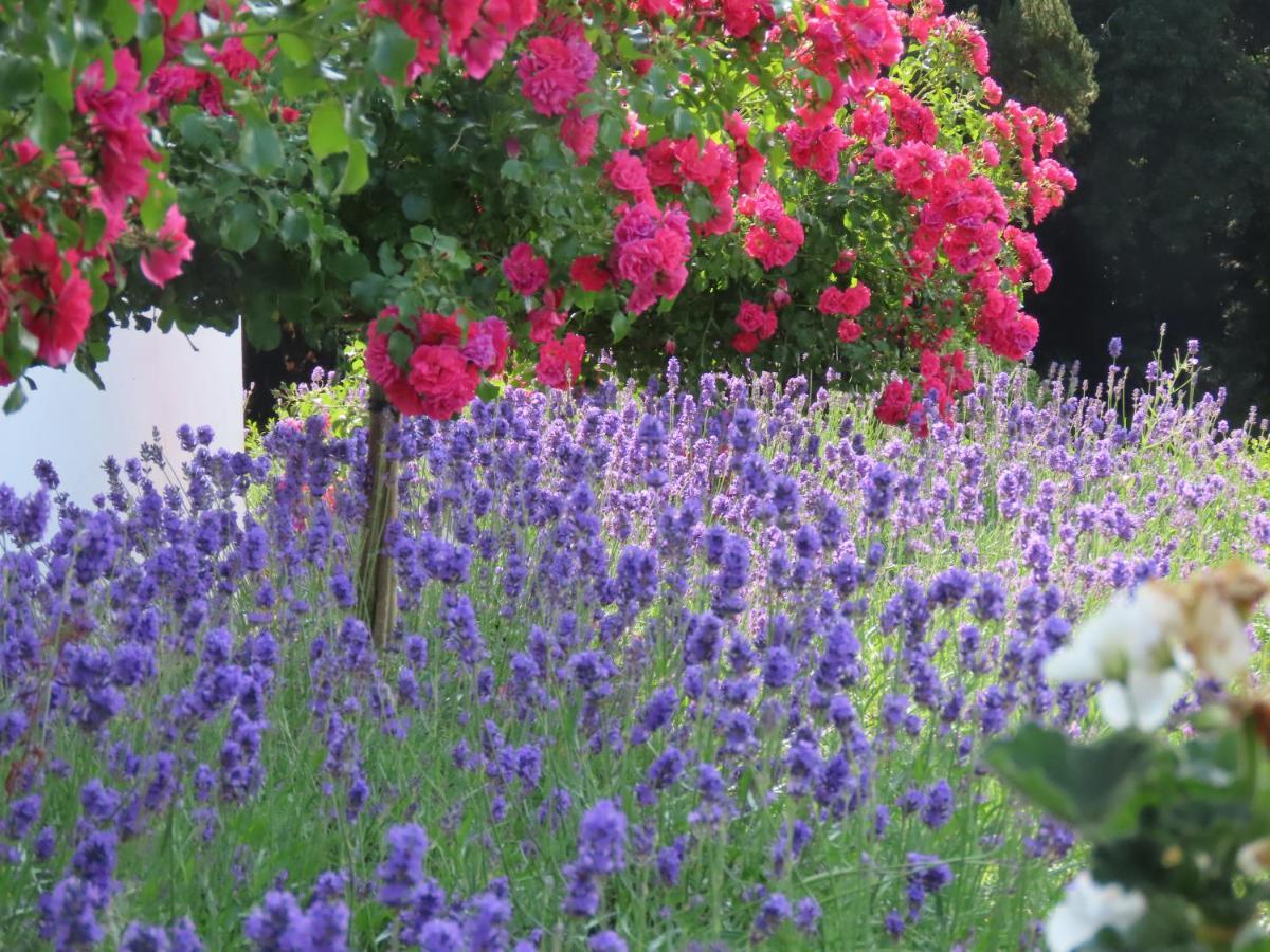 Noan Country House B&B Cashel  Eksteriør bilde